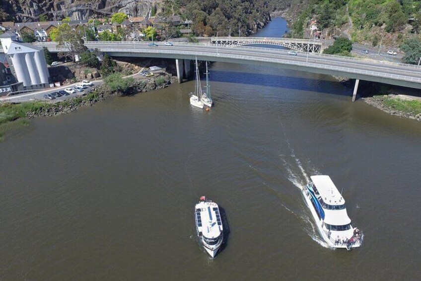 Cataract Gorge Cruise 12:30 pm