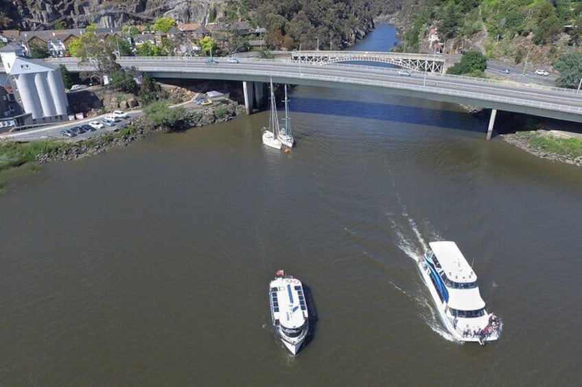 2.50 hour Afternoon Discovery Cruise including Cataract Gorge departing at 3 pm