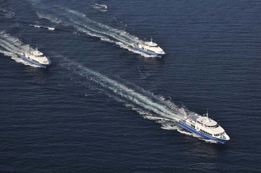 Ferry from Nice to St Tropez