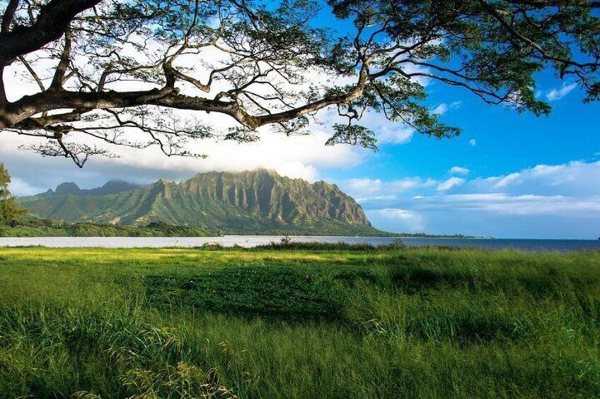 Kualoa Ranch from Waiahole