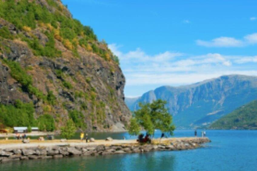 Bergen to Flam Cruise -The King of Fjords
