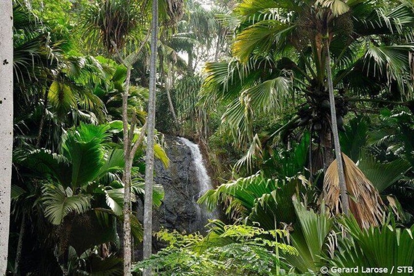 Vallee de Mai Waterfall