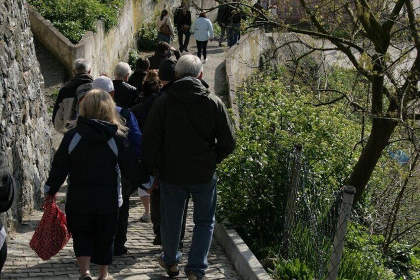 Bosphorus Strait and Black Sea Half-Day Cruise from Istanbul