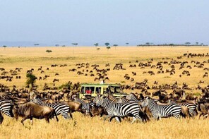 4 Day Camping Tarangire, Serengeti & Ngorongoro Crater - Group Joining Tour