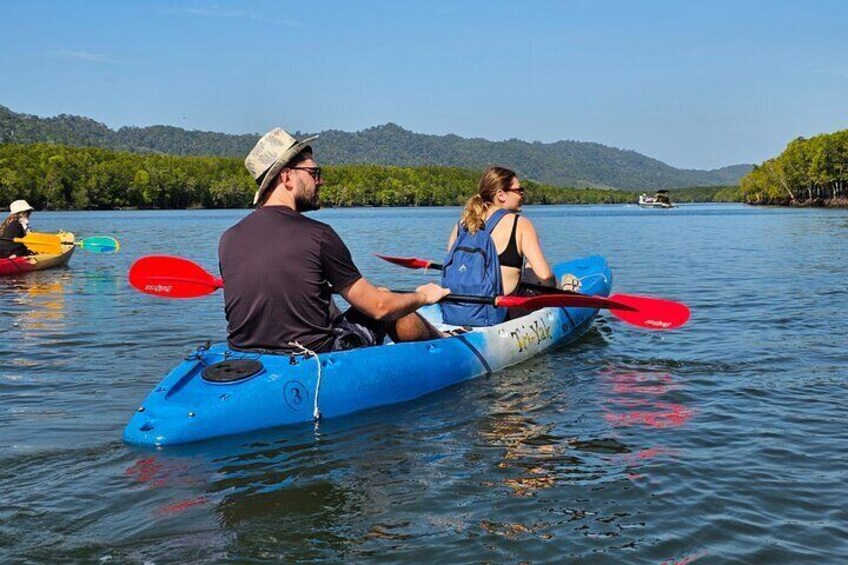 Half day Mangrove by Kayaking or Longtail boat from Koh Lanta 