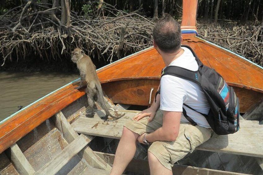 Longtail boat sightseeing