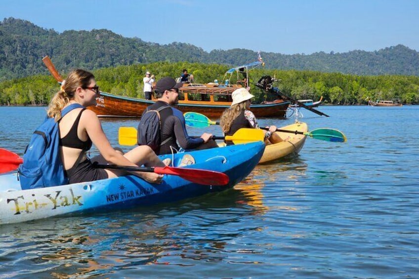 Half day Mangrove by Kayaking or Longtail boat from Koh Lanta 