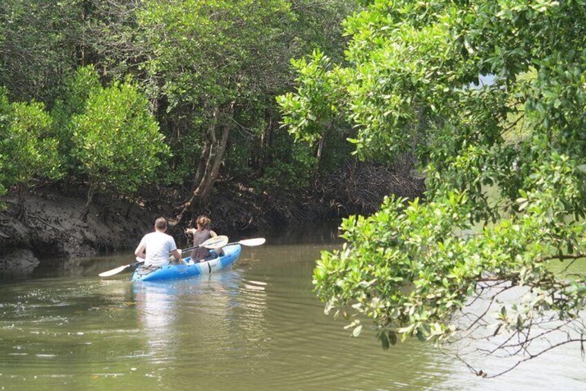 Kayaking