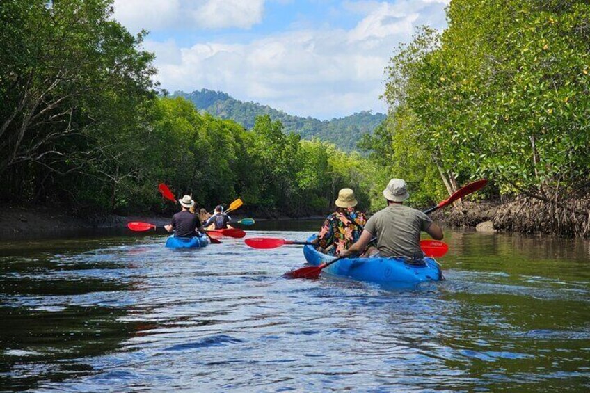 Half day Mangrove by Kayaking or Longtail boat from Koh Lanta 