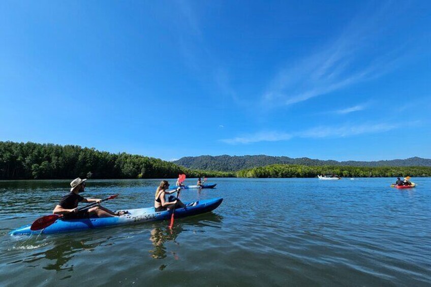 Half day Mangrove by Kayaking or Longtail boat from Koh Lanta 