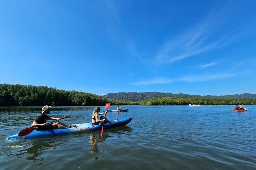 Half day Mangrove by Kayaking or Longtail boat from Koh Lanta