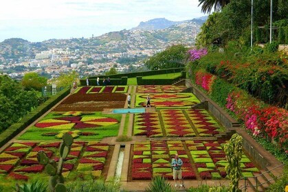 Private Half day Madeira tour (Mercedes Viano/Vito)