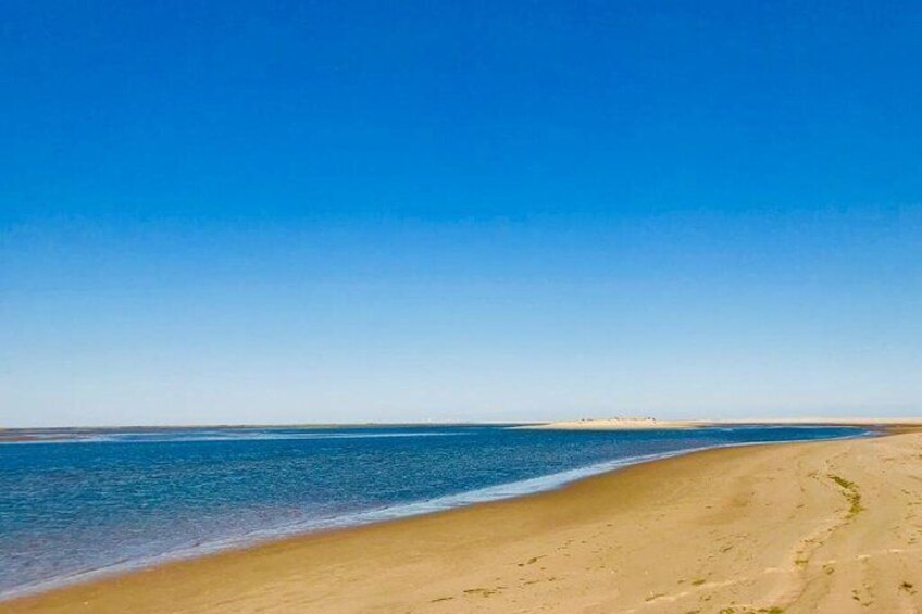 Private Catamaran Boat Tour - Ria Formosa