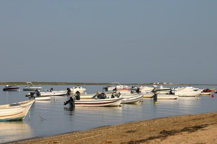 Private Catamaran Boat Tour - Ria Formosa