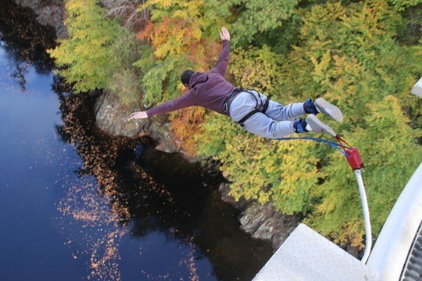 Bungee jump from 40 meters in the stunning valley of Killiecrankie, Scotland