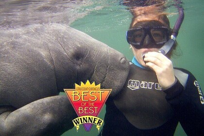 Manatee Snorkel Tour from American Pro Diving Centre