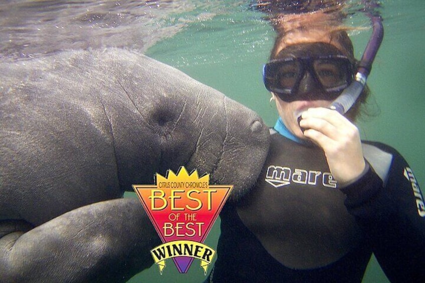 Manatee Snorkel Tour from American Pro Diving Center