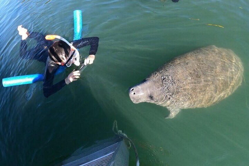 Private Manatee Snorkeling Tour