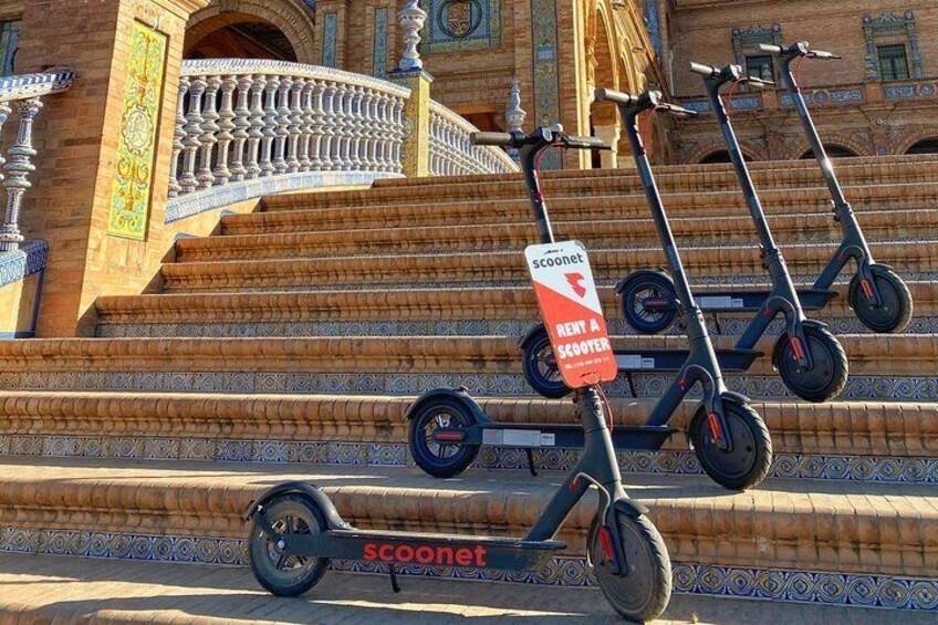 Electric Scooter Rental