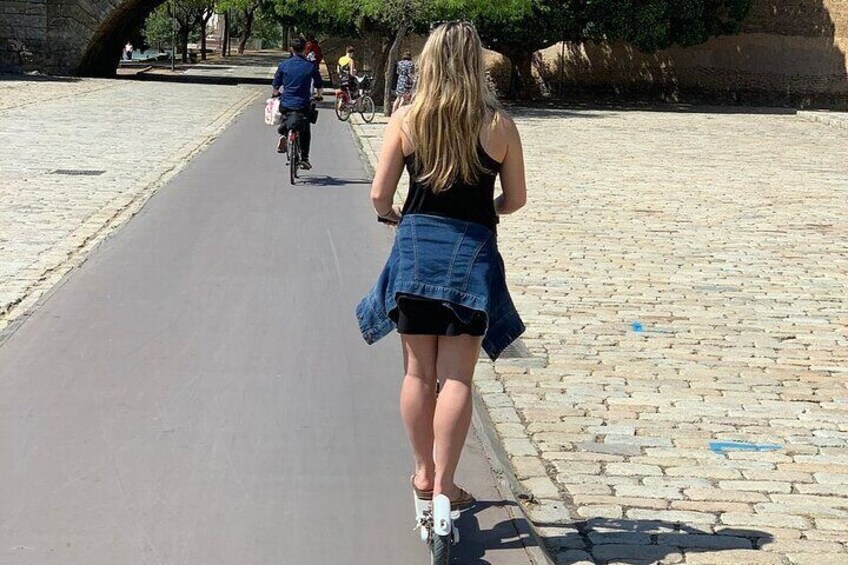 Electric Scooter Rental