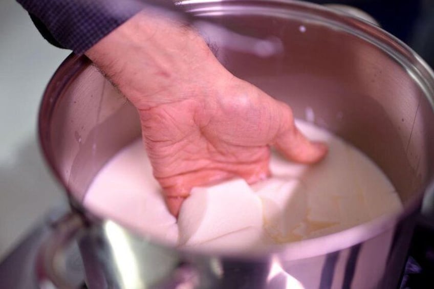Cheesemaking workshop and wine&cheese tasting with an expert
