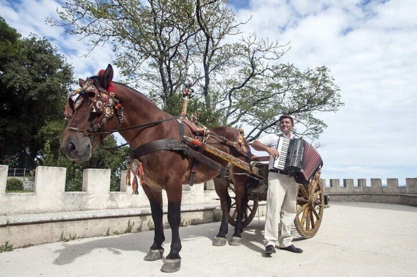 Visit Erice Medival City From Trapani