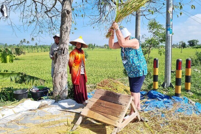 Aik Berik Rice Field