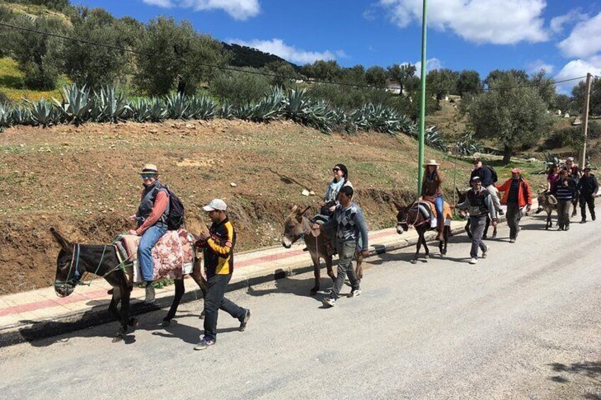 Donkey ride to Volubilis