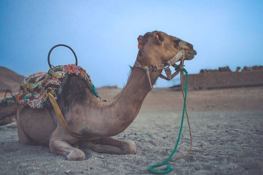 Agafay Desert - Quad Camel and Dinner show