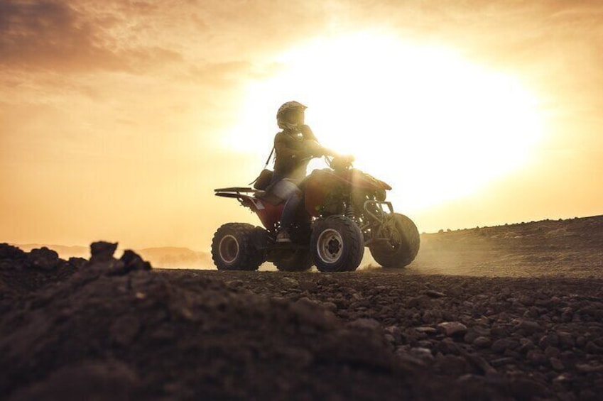 Desert D'Agafay Package - Quad, Dromedary and Dinner Show