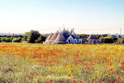 Puglia Full-Day Tour: Bari, Trulli of Alberobello, Castel del Monte and Sas...