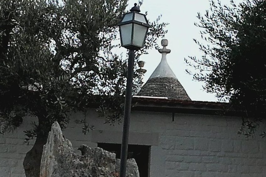 top typical roof