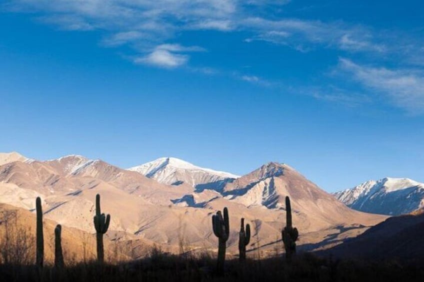 Excursion to Cachi & Calchaquies Valley from Salta