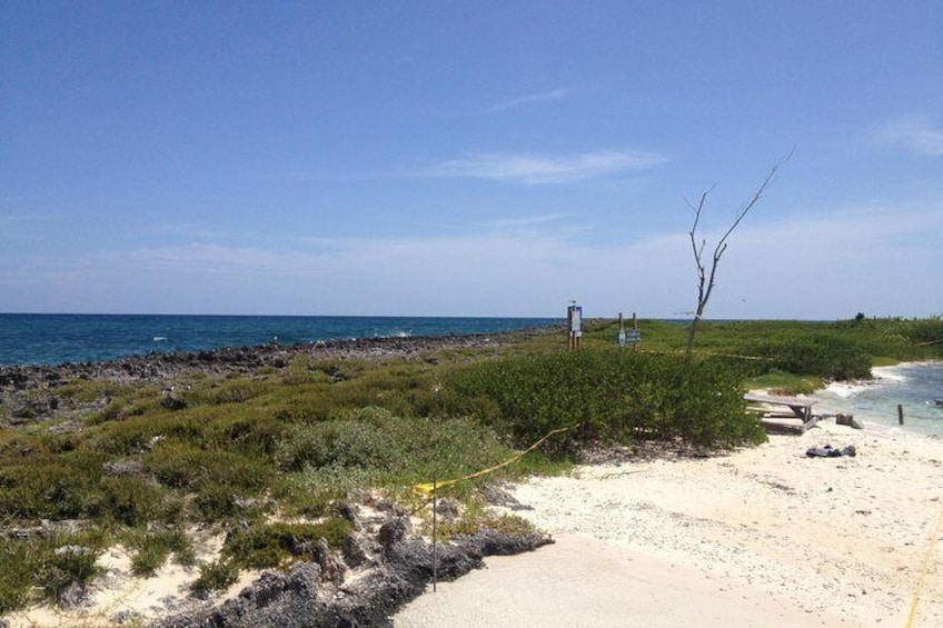 Peterson Cay National Park