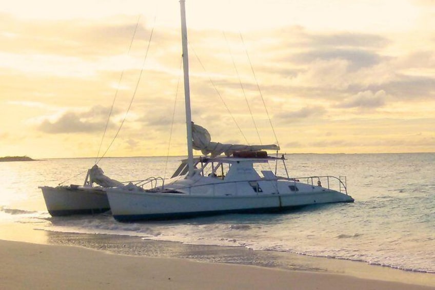 The Sail Catamaran