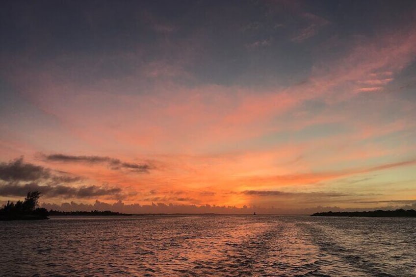 Heading to the mangroves