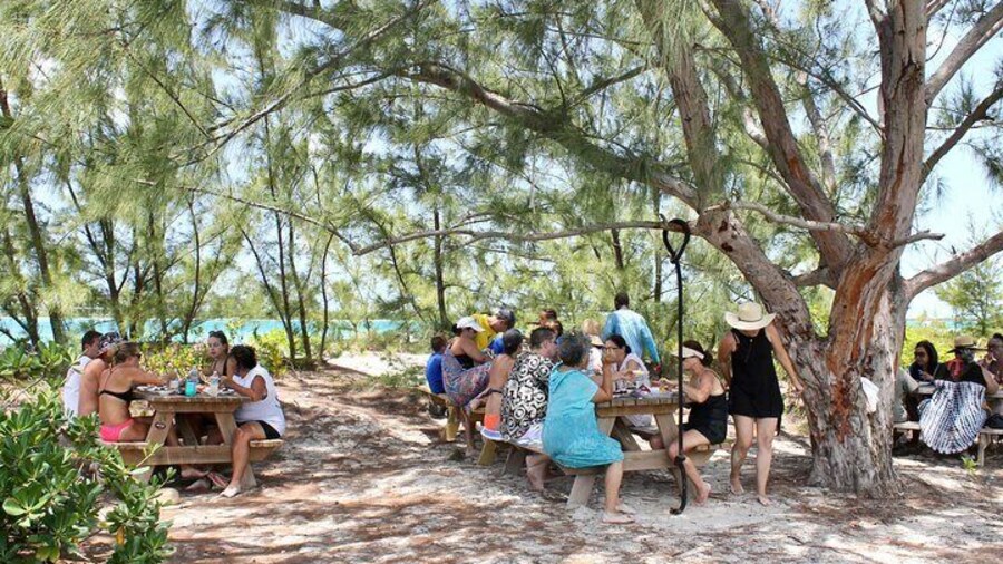 Enjoy a BBQ lunch on a full-day tour in Turks and Caicos!