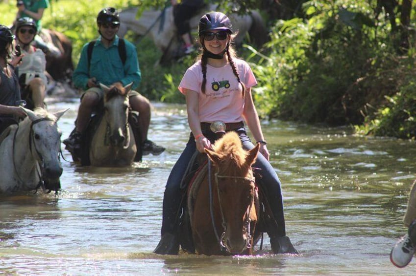 Swim horses in the River