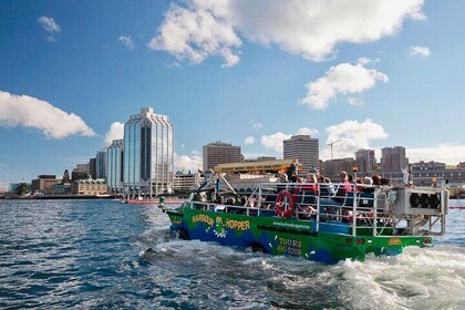 Halifax Harbour Hopper Tour