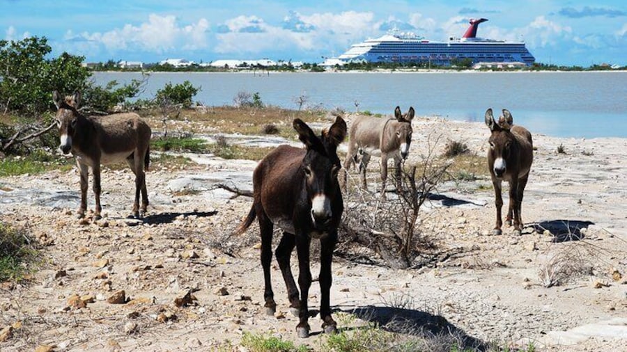 Historical Sightseeing Tour in Grand Turk