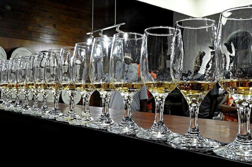 Mount Gay Signature Rum Tasting in Barbados