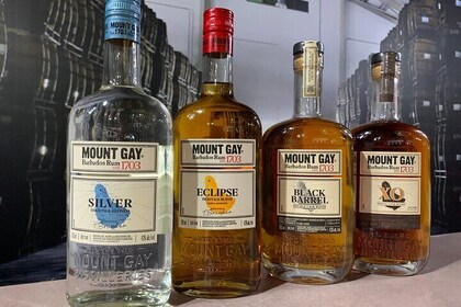 Mount Gay spezielle Rum-Tour mit Mittagessen in Barbados