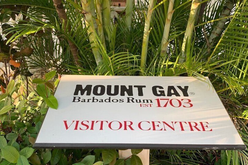 Mount Gay Signature Rum Tasting in Barbados