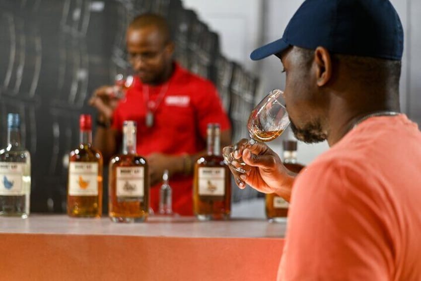 Mount Gay Signature Rum Tasting in Barbados