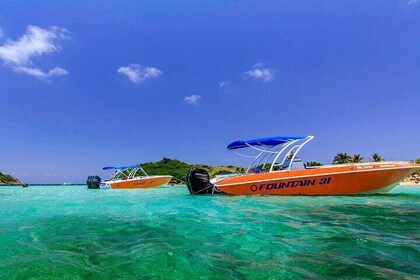 St Maarten Shore Excursion: Snorkeling and Speed Boat Tour