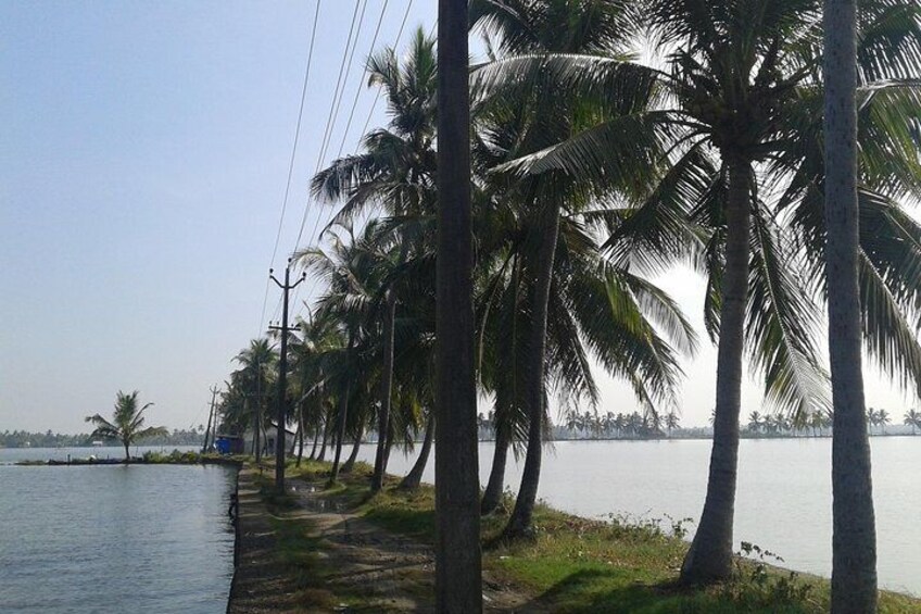 Village fish Farms