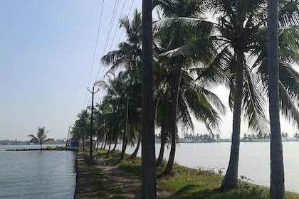 Kochi Village Life Experience tour - The Real Tour of Kochi !