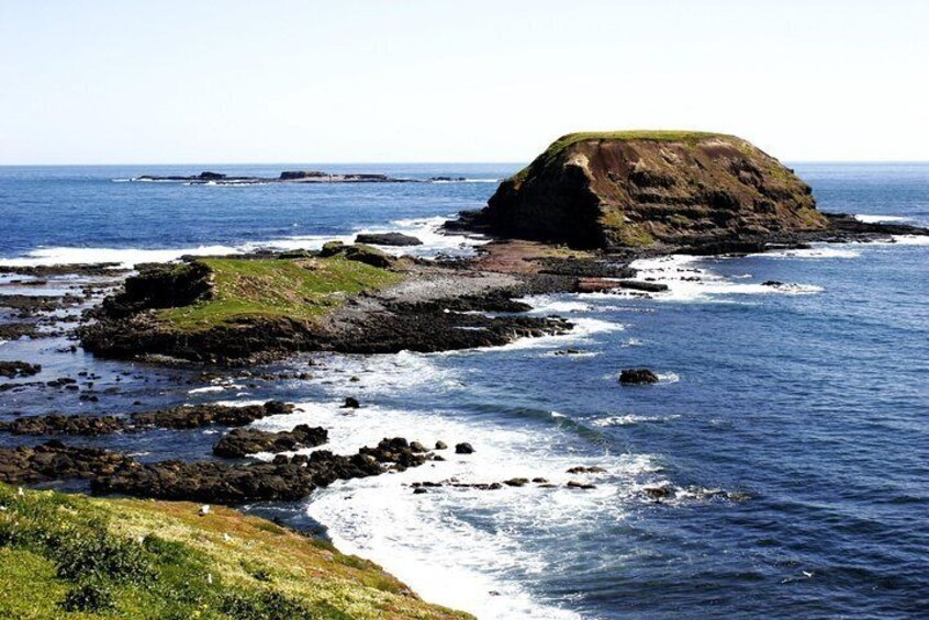 Seal Rocks lookout from The Nobbies