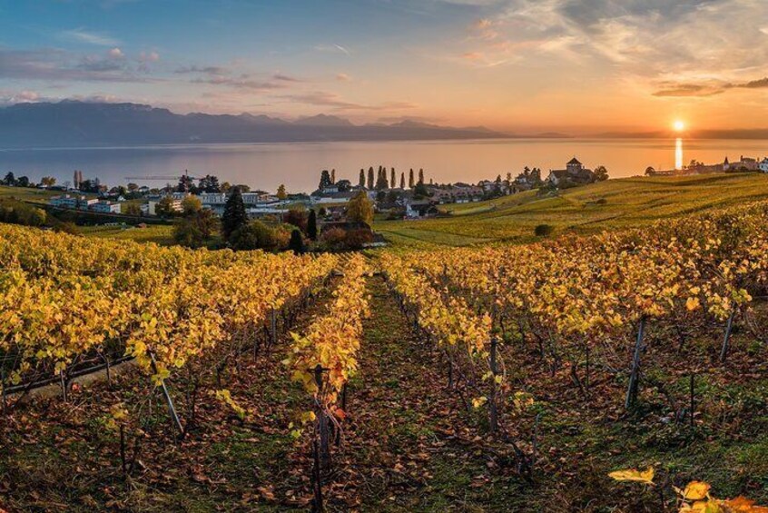 Enjoy the famous Wine-Terraces in Lavaux