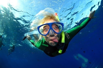 Full-Day Snorkeling Rental Package